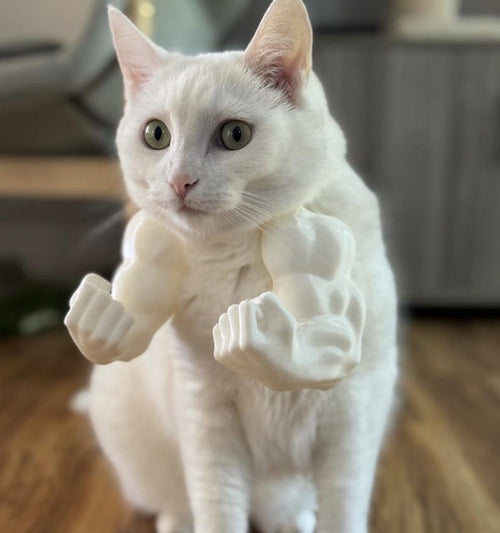 Finger Cat Muscle